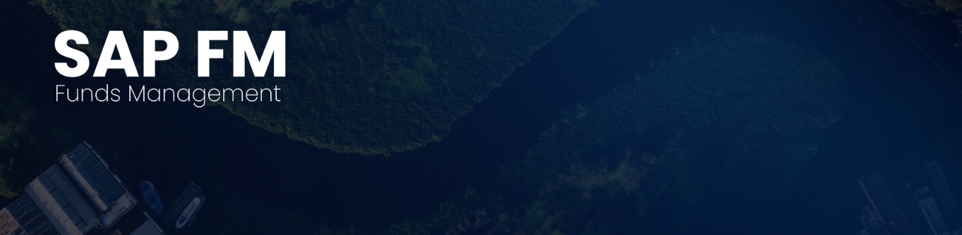 SAP FM